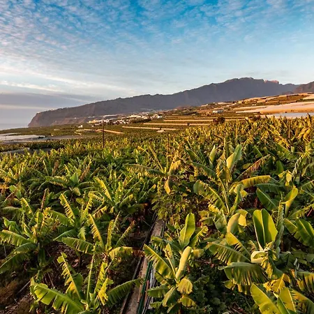 度假居 Casa Cucu *