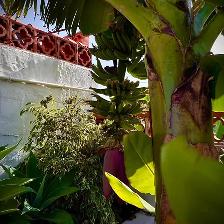 Holiday home Casa Cucu